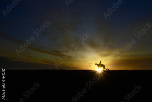 silhouette of a person with a dog and horse. 