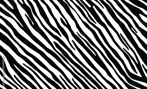 seamless zebra print  animal print  vector graphic  all over print