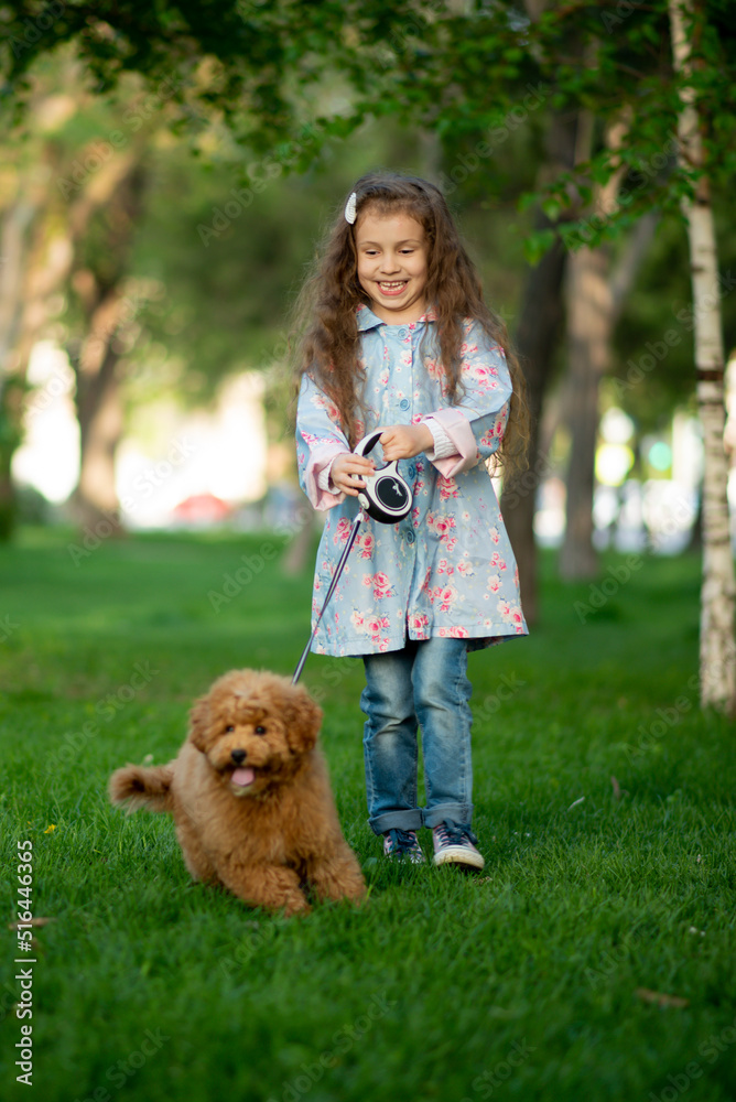 A cute little girl on a walk with toy poodle dog. It's spring outside. The girl is dressed in a blue cloak in a flower and jeans. She has long wavy hair. Childhood. Stroll. A cute little girl on a walk with toy poodle dog. It's spring outside. The girl is dressed in a blue cloak in a flower and jeans. She has long wavy hair. Childhood. Stroll.
