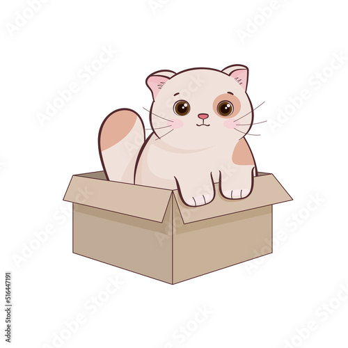 Cute kitten in a cardboard box on a white background, taking care of animals. Children's vector illustration