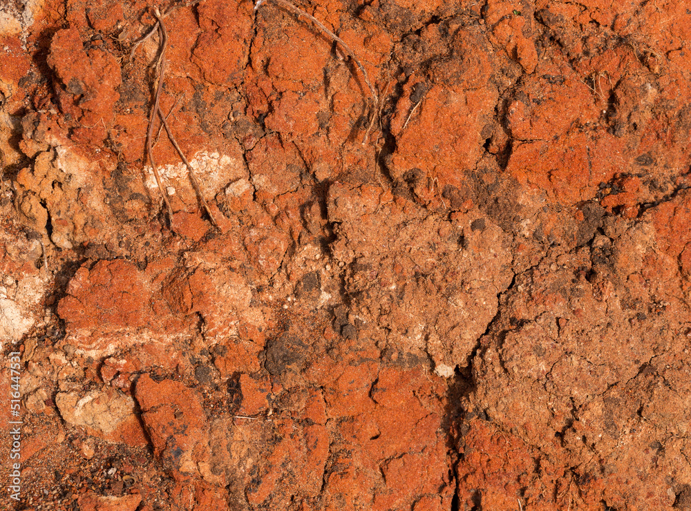 Sedimentary rocks with a high content of iron oxide. Red soil, loam. The texture of the soil. Sedimentary rocks with a high content of iron oxide. Red soil, loam. The texture of the soil.
