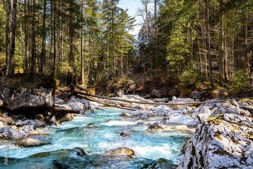 Beautiful blue river in the forest photo