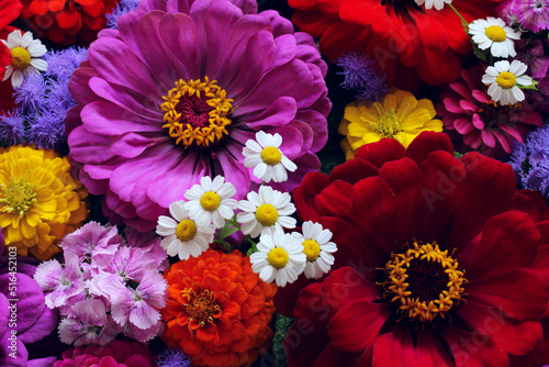 floral background with daisies  zinnias  ageratum and Turkish carnation.