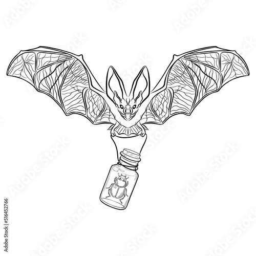 Hand drawn flying bat with a beetle in alchemy glass bottle. Mystical magic creepy vector illustration on white background. Insects. Esoteric signs symbols. Spirituality. Tatoo. Animal spirit art