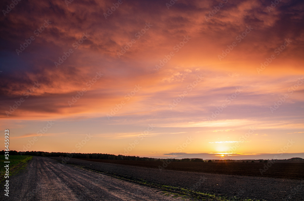 Fototapeta premium Sunset on the field
