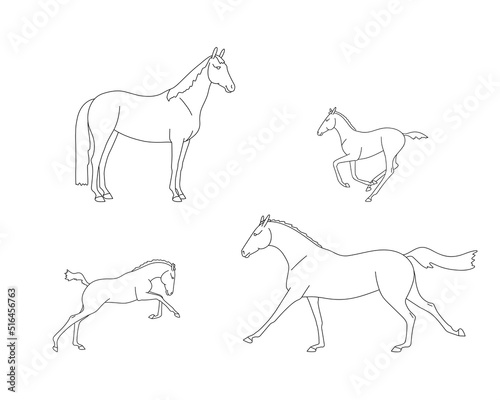 Set of mares  with their foals  linear contours for coloring