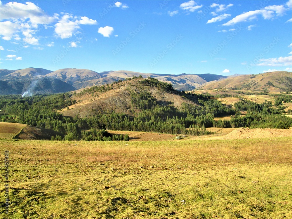 cerro naturaleza arboles