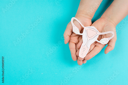 Holding an uterus organ with ovaries in the hands, female reproductive system, pregnancy and gynecological concept, diseases like cancer and polycystic  photo