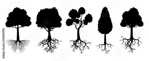 Set black Trees. Vector Illustration.
