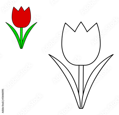 Red tulip colorful and black and white. Flower coloring book page for children. Vector illustration isolated on white background.
