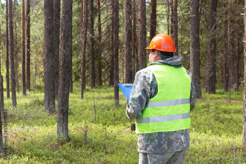 A forest engineer conducts a survey of the forest for logging.
