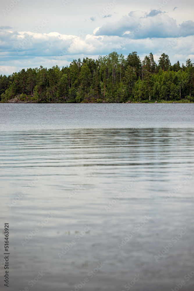 beach with trees, norrland, sverige,sweden