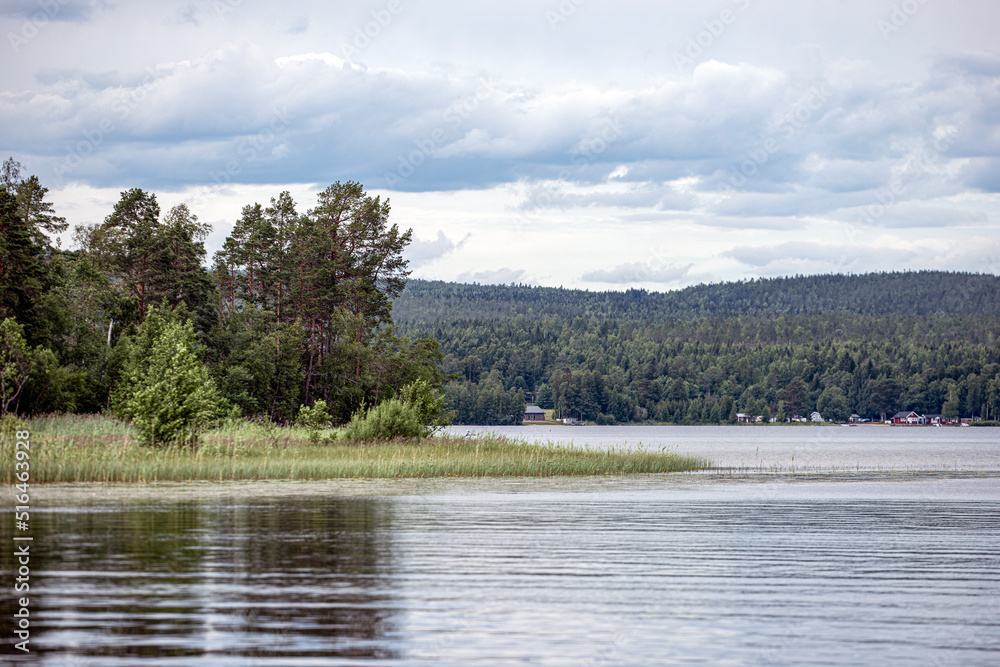 lake and forest, norrland, sverige,sweden