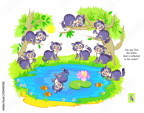 Logic puzzle game for children and adults. Can you find the kitten that is reflected in the water? Page for brain teaser book. Developing kids spatial thinking. Task for attentiveness. Vector image.
