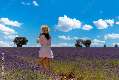 Fototapeta Naklejka Na Ścianę i Meble -  young woman in lavender fields