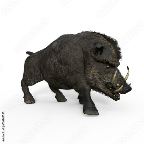 3d-illustration of an isolated battle boar animal really wild and dangerous