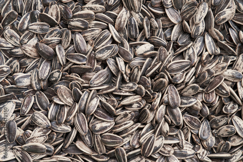 Beautiful sunflower seeds image