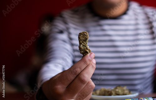 manos sosteniendo marihuana (Cannabis). Concepto de medicina natural.
