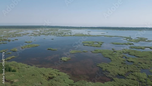 Jurmala, Latvia - Drone aerial flight bird view of swamp in Kaniera Lake Reed Trail in Kemeri National Park Fund - Famous nature tourist destination in Latvia - June 2022 photo