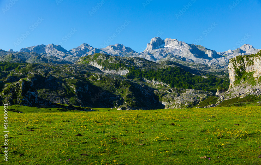 Obraz premium Unique summer landscape of Peaks of Europe with rocky mountain ranges and greenery on foothills, Spain