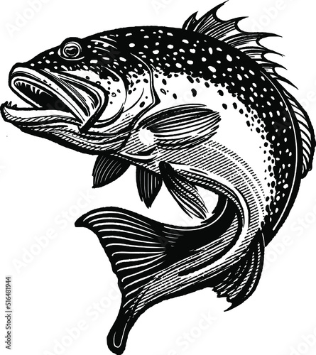 sketch of Australian coral trout fish in water