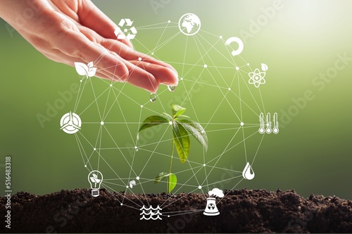 Hand holding green plant with icons energy sources for renewable, sustainable development. Ecology. photo