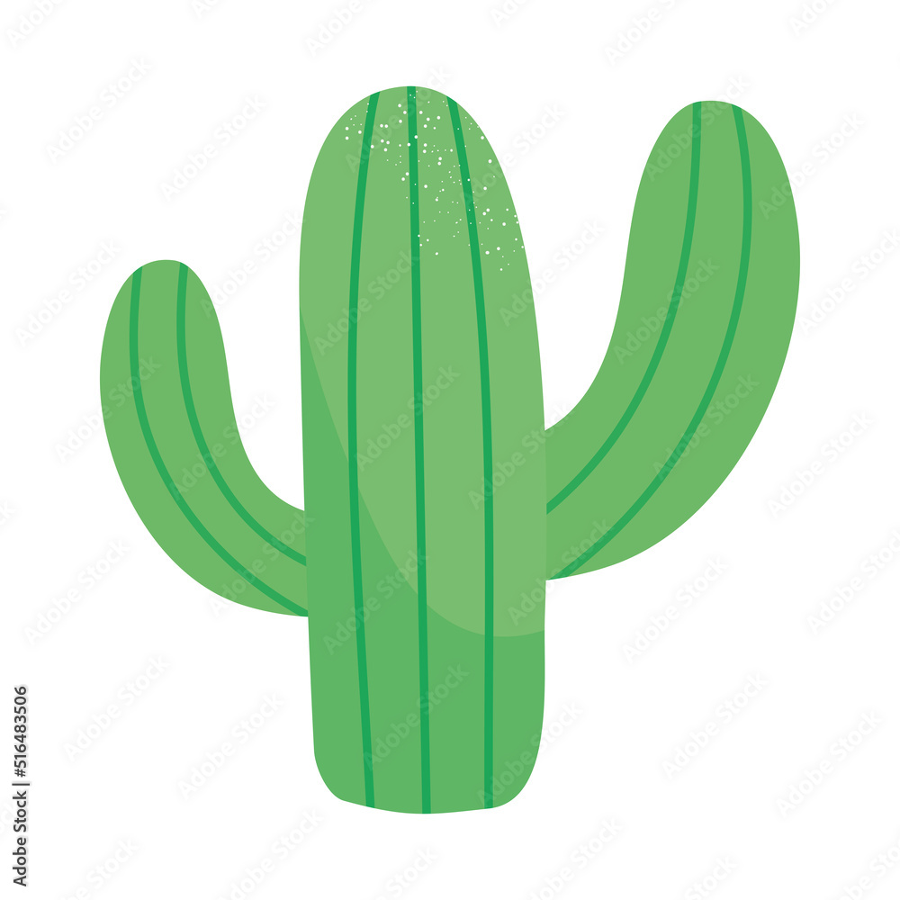 big cactus design big cactus design