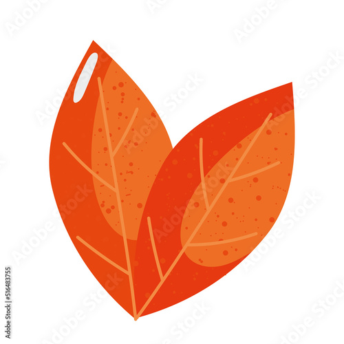 pair of dry leaves
