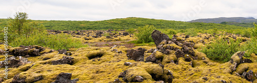 A lava field in Iceland
