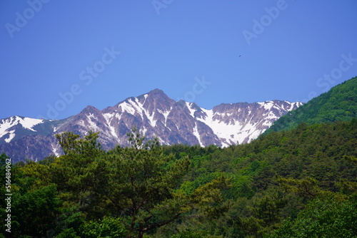 山