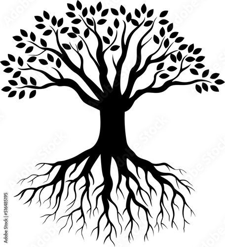 Tree silhouette isolated on white background