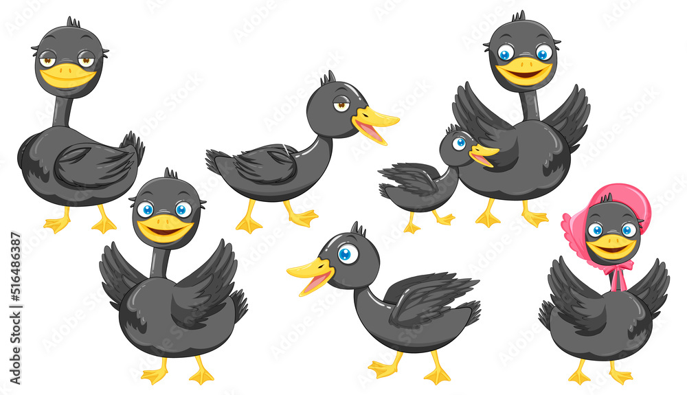 Set of different mallard duck cartoon characters Set of different mallard duck cartoon characters