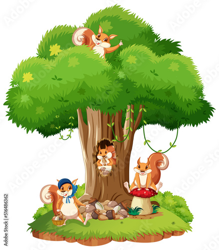 Scene with squirrels on the tree