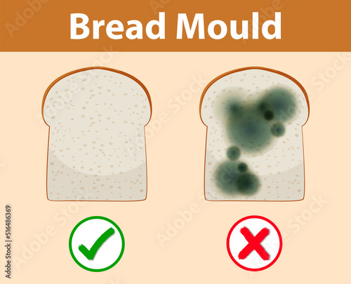 Inedible bread with mould