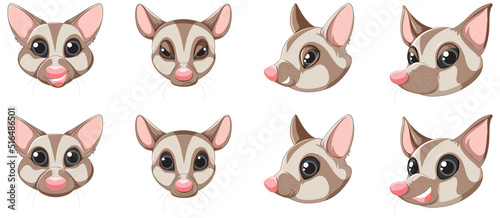 Set of cute sugar glider