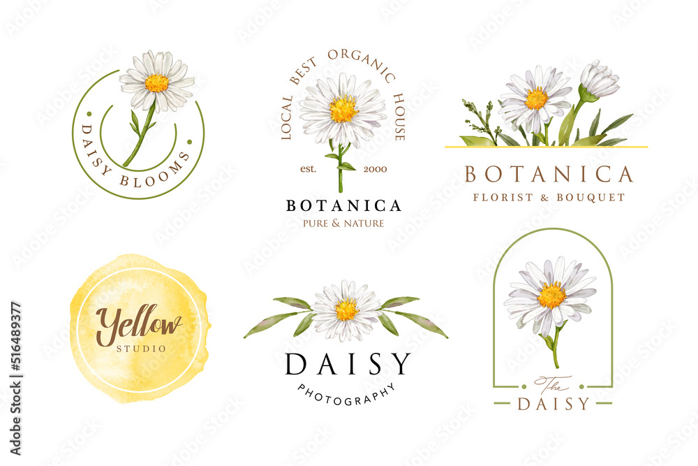 © cocomomo - Watercolor daisy flower feminine logo design template © cocomomo - Watercolor daisy flower feminine logo design template