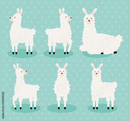 six furry llamas