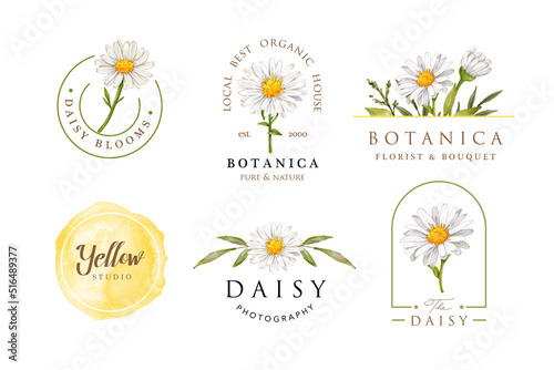 Fotografia Watercolor daisy flower feminine logo design template