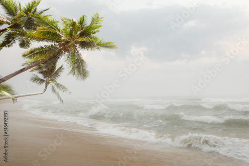 Fototapeta Naklejka Na Ścianę i Meble -  Seascape background. palm tree on beach with surf covered foggy. Image soft look with smooth technique. vintage color tone effect.