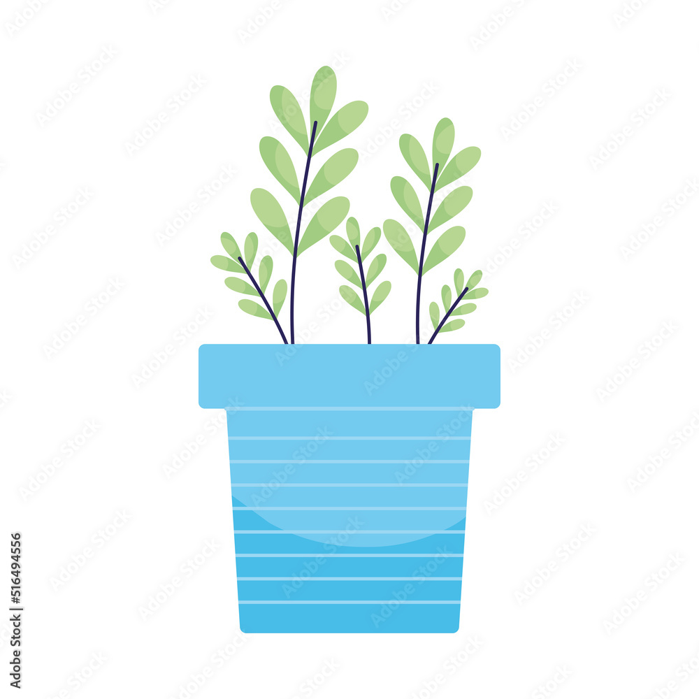 green plant in a pot green plant in a pot