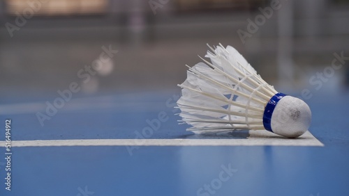 Badminton shuttlecock in line badminton court 