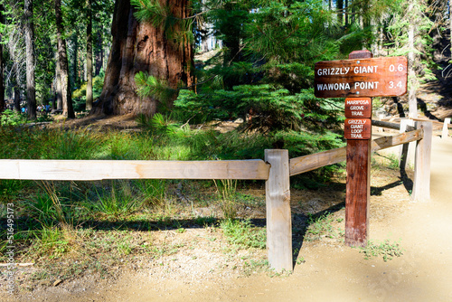 Navigation signs to Mariposa Grove, Grizzle Giant and Wawona Point in sequoia grove of Yosemite National Park photo