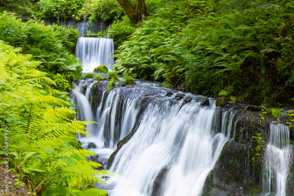 Naklejka premium 白糸の滝の下の渓流