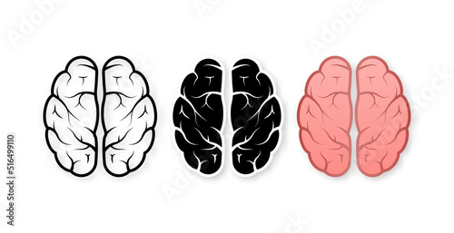 Human brain medical. Internal organ. Neural network. Brainstorming, idea.