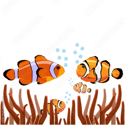 Fish on a white background.The clown fish is a marine animal that swims underwater. 
Vector illustration of cartoon amphiprion isolated on white background.
