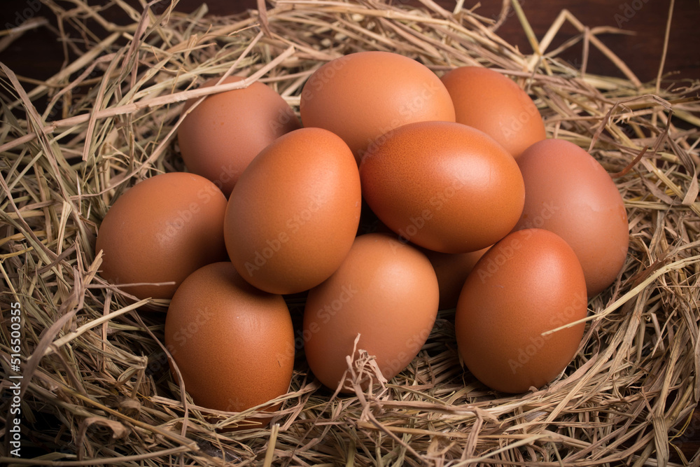 fresh chicken eggs in straw on wooden background fresh chicken eggs in straw on wooden background