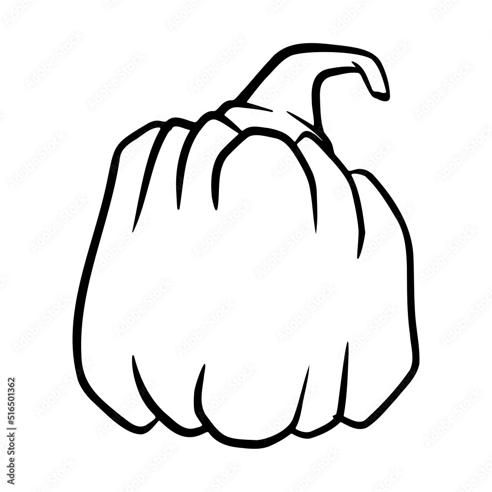 Pumpkin - squash for Halloween or Thanksgiving line art icon Pumpkin - squash for Halloween or Thanksgiving line art icon