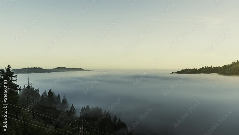Fog Flowing Over Jackson State Forest Clear Sky Timelapse Fog Flowing Over Jackson State Forest Clear Sky Timelapse