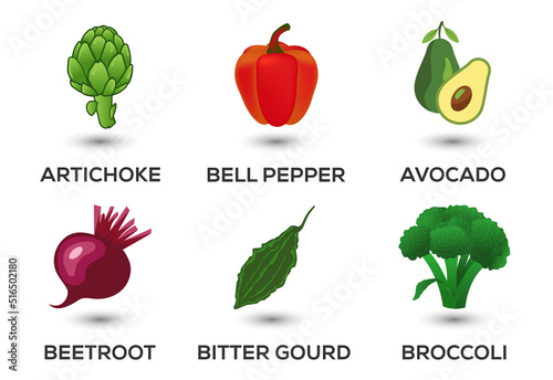 Vegetable icons set vector illustration. Collection of farm products for restaurant menus.