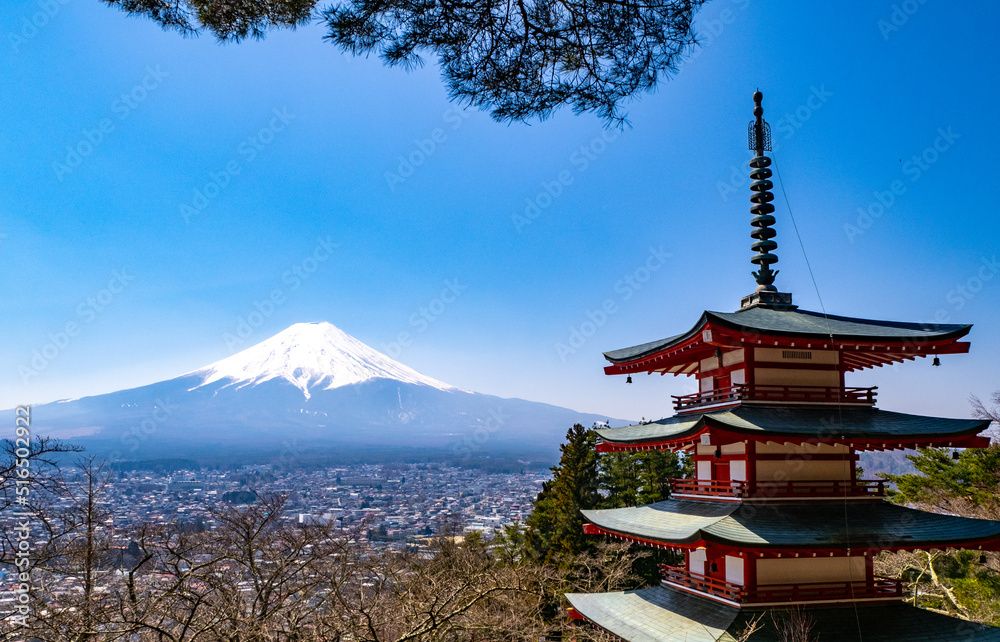 Obraz premium Mount Fuji and Pagoda 